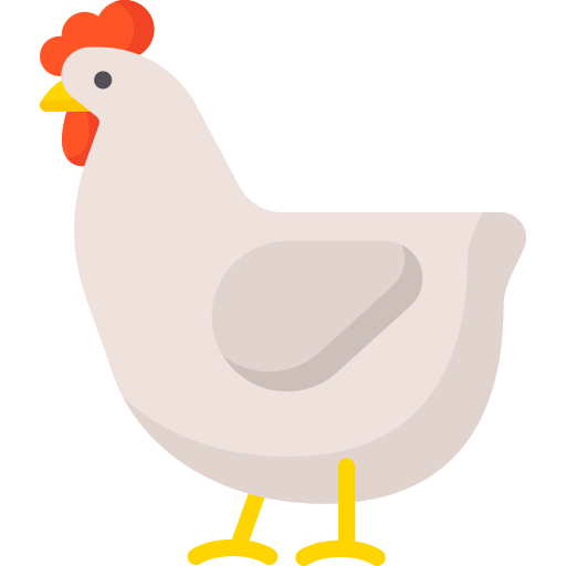 chicken